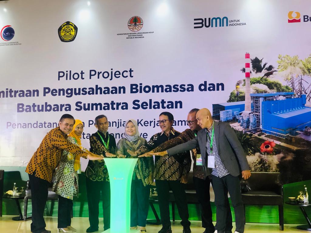 Pilot Project Model Kemitraan Pengusahaan Biomassa dan Kerjasama Rehabilitasi Mangrove Diluncurkan